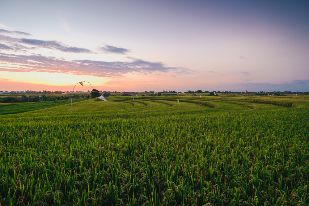 owning farmland