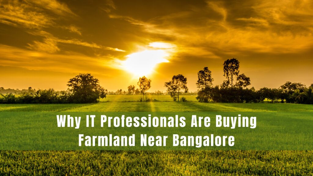 farmland near Bangalore