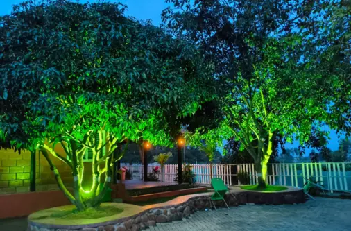 Evening view of plantation and trees at H2O Farms farmland