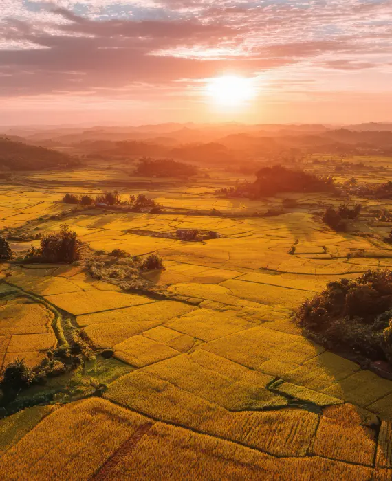 Sunrise over green farmland landscape symbolizing growth and vision