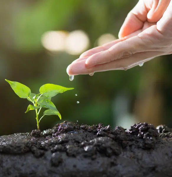 where the land is water drop farmland plant.