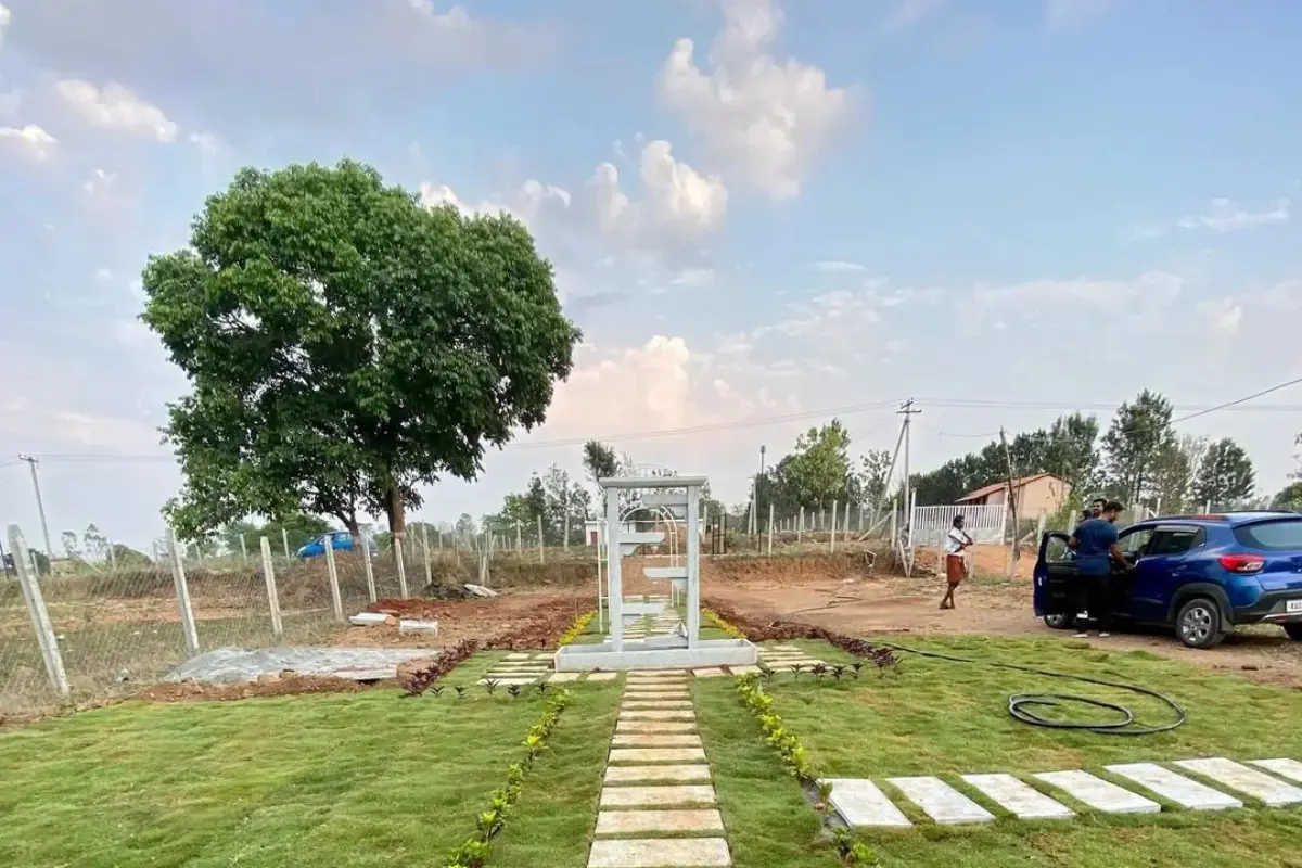 Green farmland plots near Bangalore with natural surroundings and plantation view
