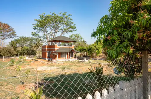 Farmhouse with fenced plot and young plantation in managed farmland project