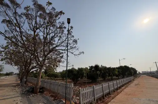 Farmland boundary along roadside with open surroundings