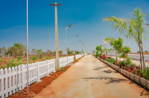 Fenced farmland plot with organized plantation layout