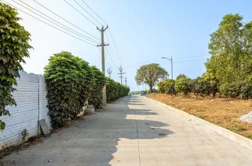 Concrete internal road providing access within farmland