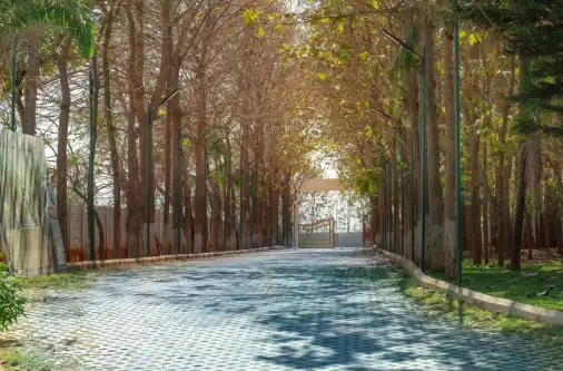 Tree-lined pathway inside a managed farmland community
